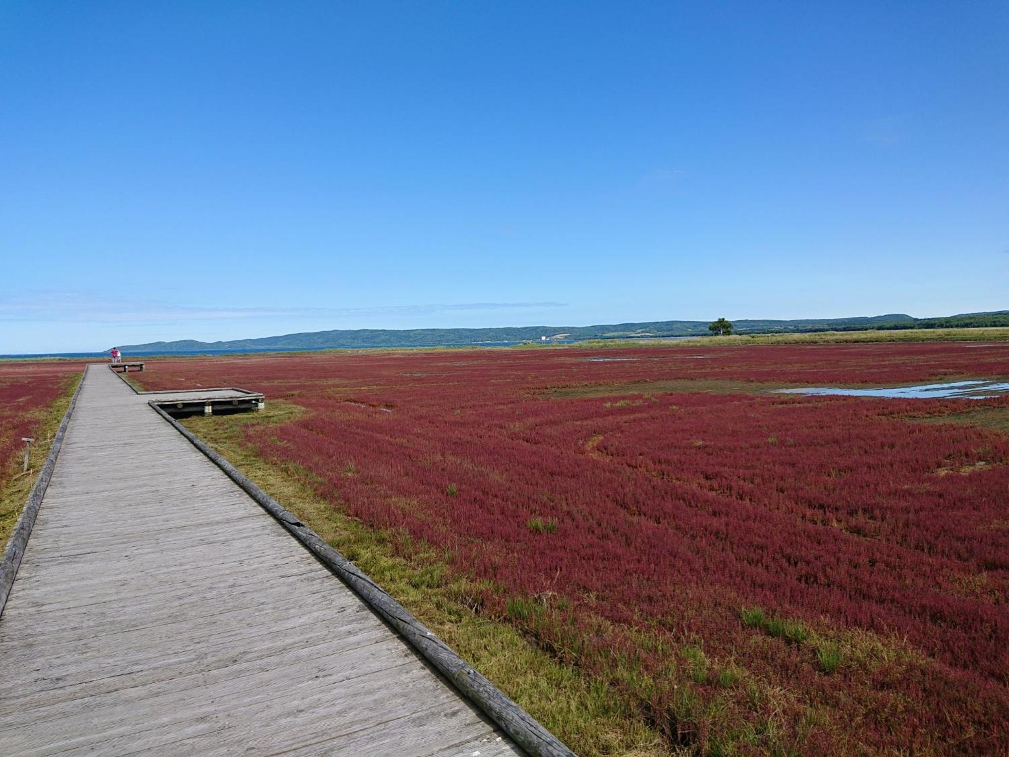 Sea Side Stay / Vacation Stay 1785 Abashiri Bagian luar foto